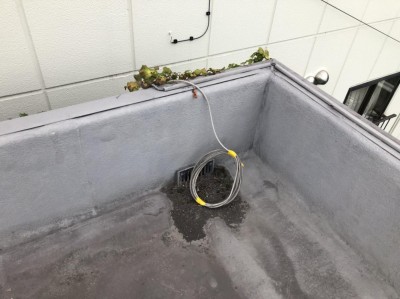 image1_23.jpeg