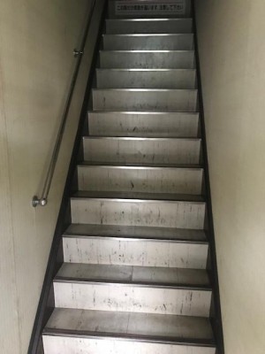 image8.jpeg