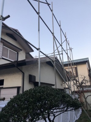 image1_2.jpeg