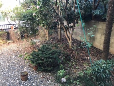 image1_14.jpeg