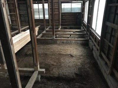 image10.jpeg