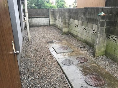image14.jpeg