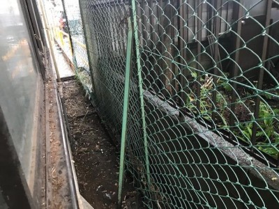 image17.jpeg