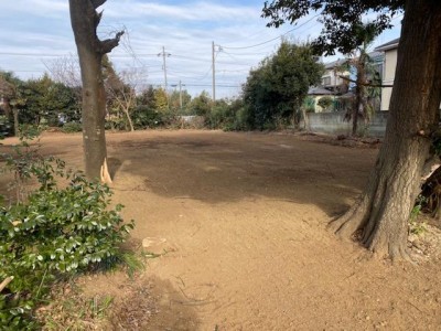 image7.jpeg