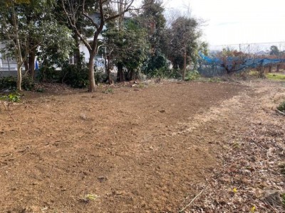image8.jpeg
