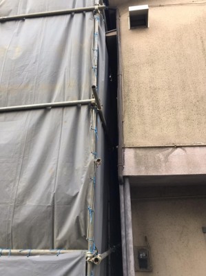image1_12.jpeg