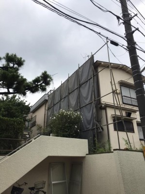 image1_7.jpeg